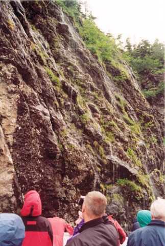 008 Kenai Fjords NP 