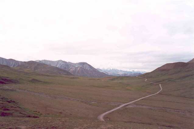 026 Polychrome Overlook v Denali NP 