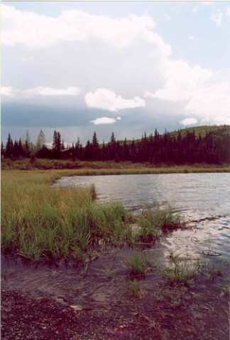 027 Wonder Lake, Denali NP 