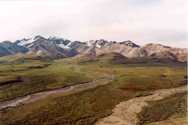 034 Poho Alaska Range, dol eky Teklanika, Denali NP 