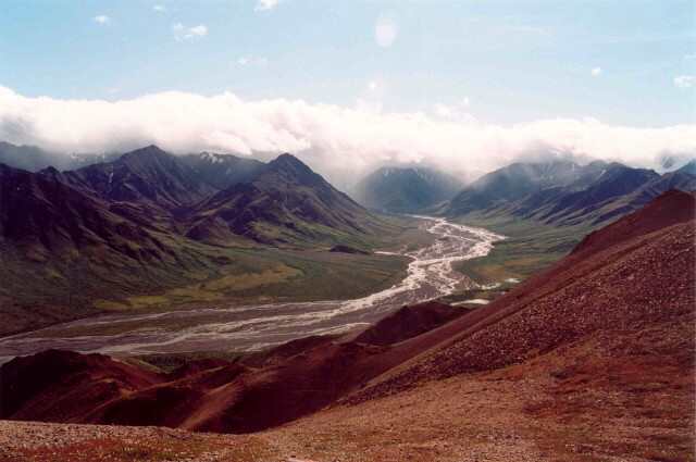 041 Teklanika River, Denali NP 