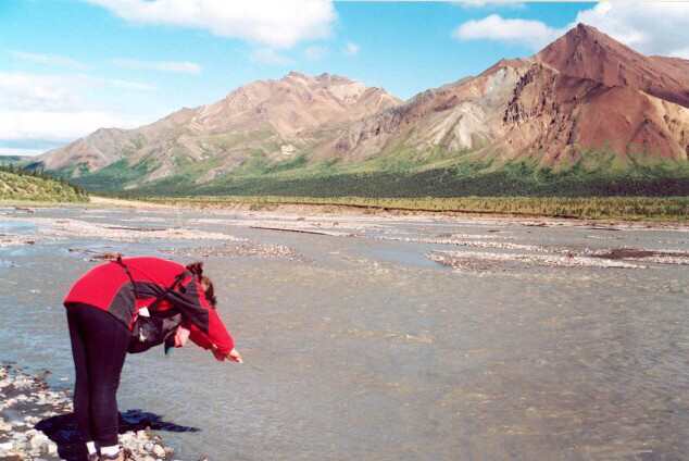 044 Teklanika River, Denali NP 