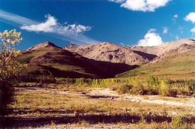 046 Posledn hike v Denali 