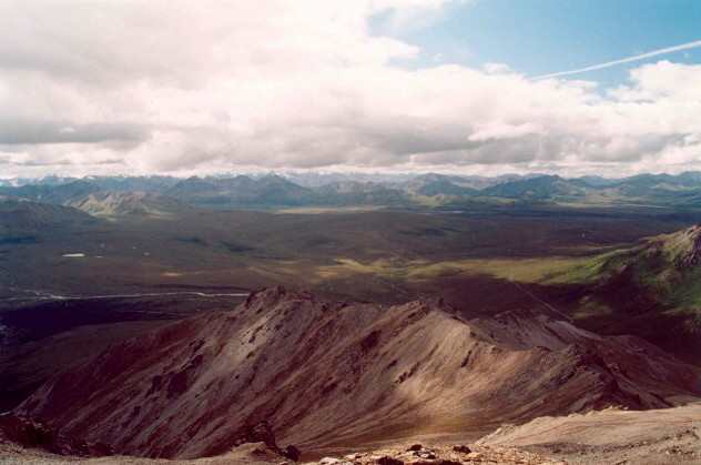 048 Savage River, Denali NP 