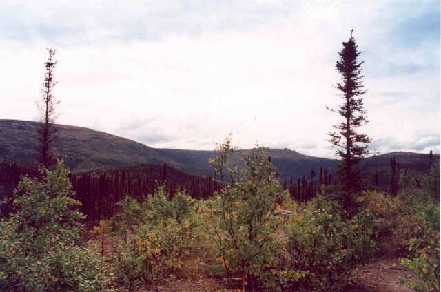 054 Chena River Valley 