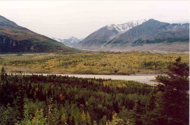 065 Black Rapids Glacier 