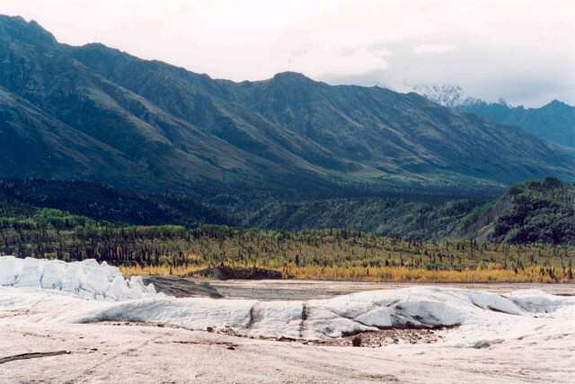 082 Matanuska Glacier 