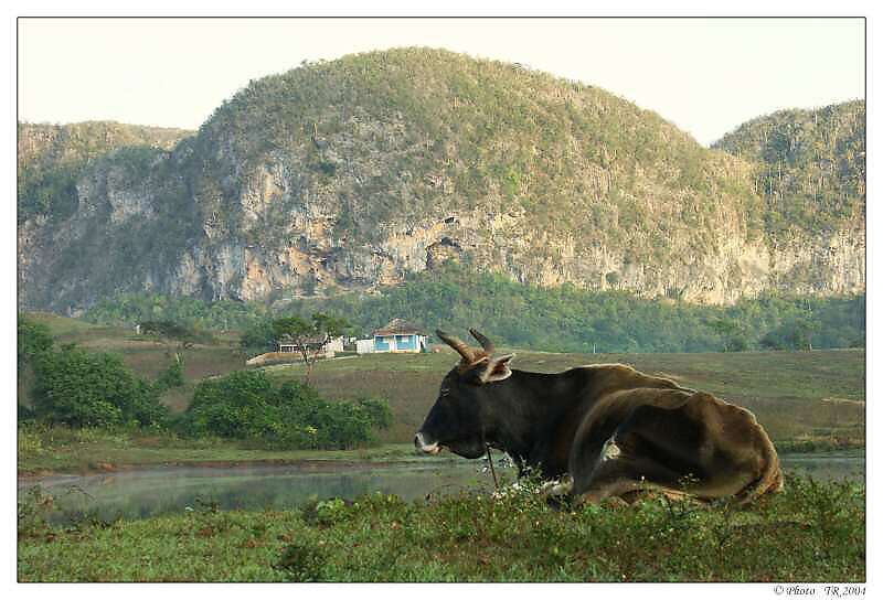 189 Mogotes ve Valle de Viales 