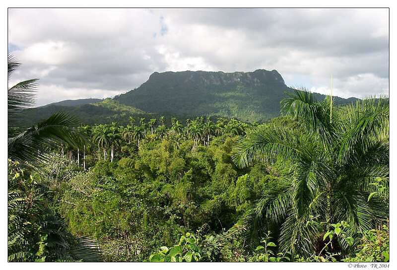 256 Stolov hora El Yunque 676m 