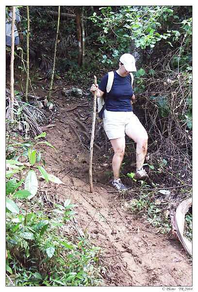 280 kluzk sestup z El Yunque 