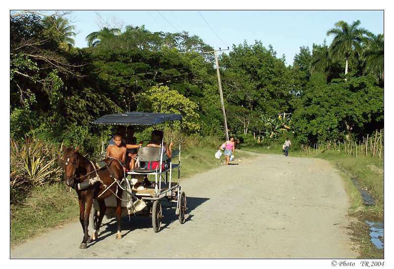 305 Baracoa, z msta cesta 