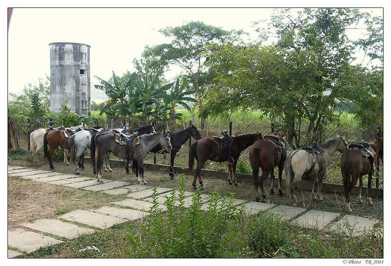 512 Trinidad,  Valle de los Ingenios, nai vrn konci 