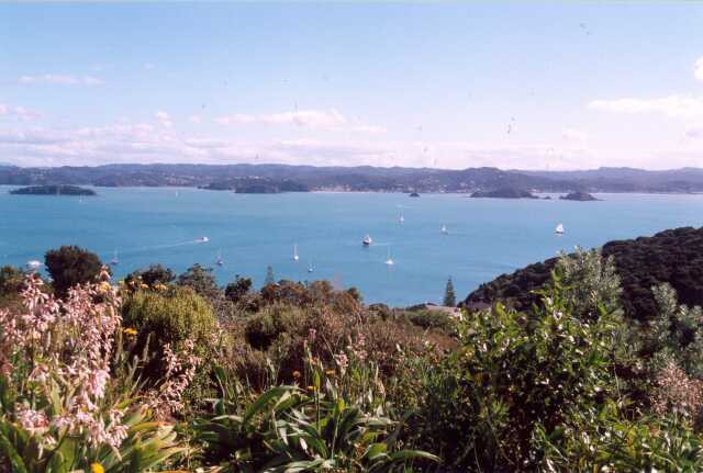 181 Bay of Islands 