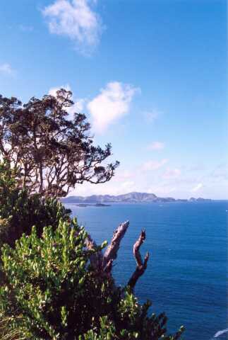 188 Bay of Islands 