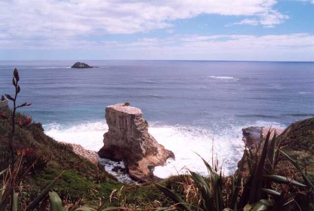 191 Muriwai Beach 