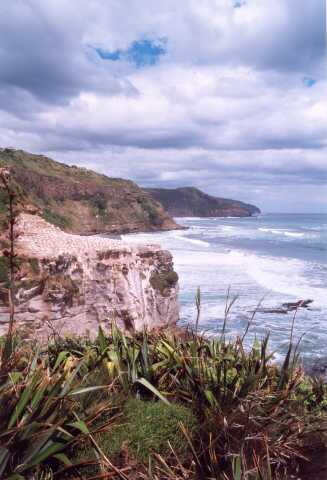 194 Muriwai Beach 