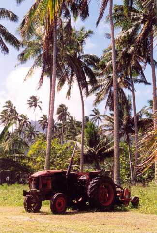 291 Zetor na Rarotonze 