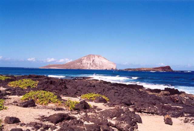 307 Makapuu Beach Park 