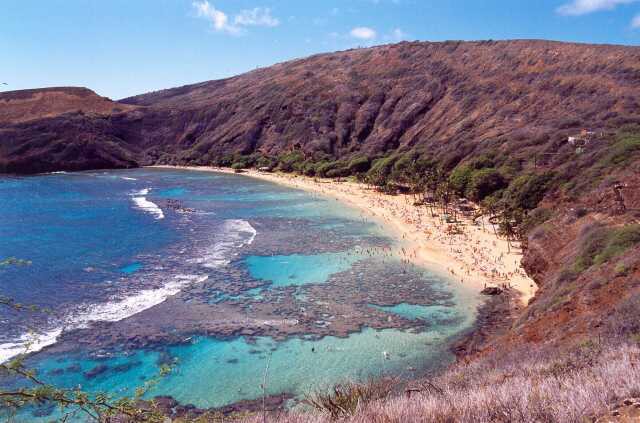 320 Ryb rezervace Hanauma Bay 