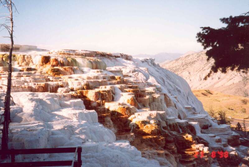 014 Canary Springs, Mommouth Hot Springs 