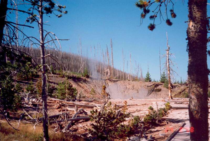 017 Norris Geyser Basin 