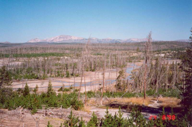 018 Norris Geyser Basin 