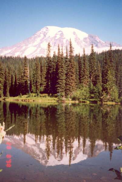 040 Vyhasl  sopka Mt.Rainier 4392 m.n.m. 