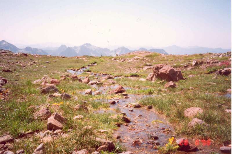 043 Alpsk kvtena, Mt.Rainier 