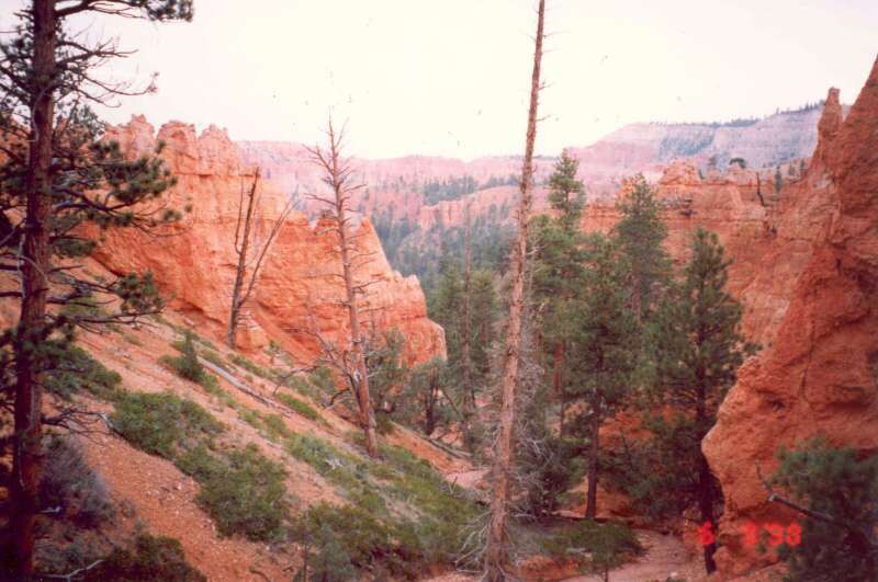 120 Bryce Canyon NP - naervenal zerodovan vpence, Utah 